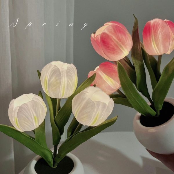 Đèn Bàn Chậu Hoa Tulip