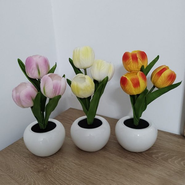 Đèn Bàn Chậu Hoa Tulip