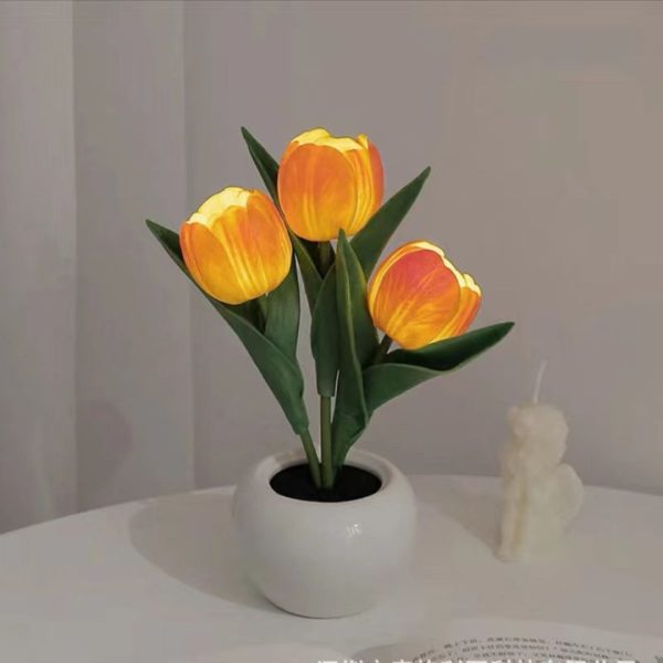 Đèn Bàn Chậu Hoa Tulip