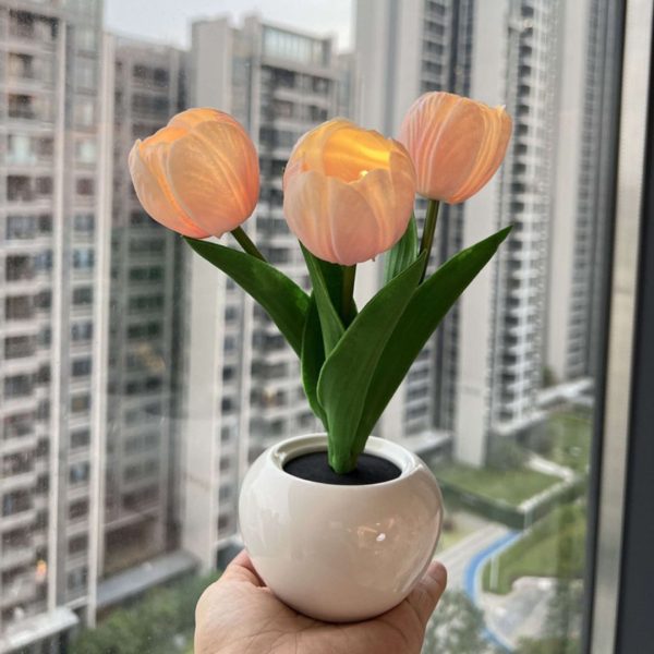 Đèn Bàn Chậu Hoa Tulip